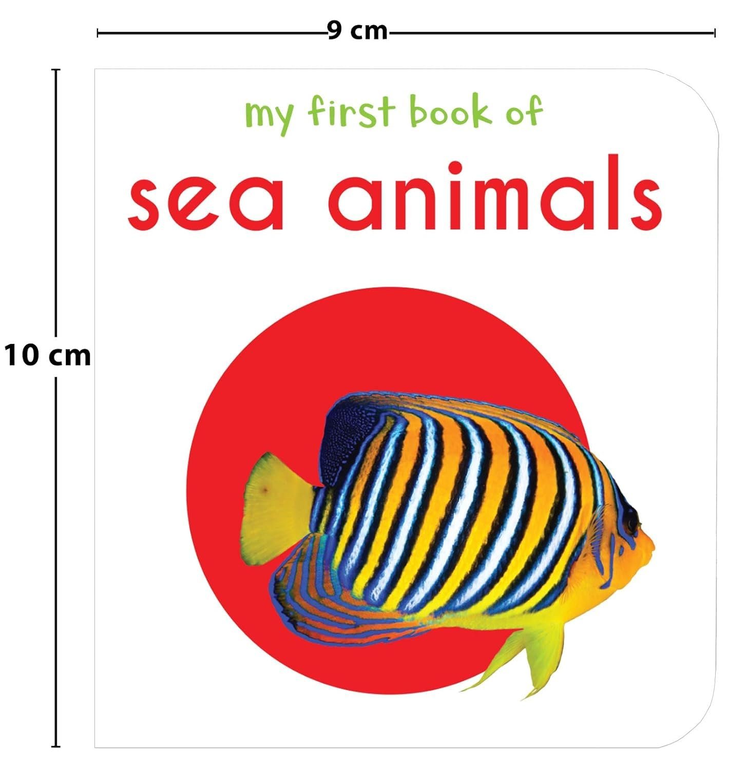 My First Library Boxset For Kids (10 Board Books) | Ages 0–3 Years | Early Learning | Gift Set For Babies | Toddlers & Preschoolers | Latest Premium Edition | ABC | Numbers | Shapes | Colors & More - Image 3